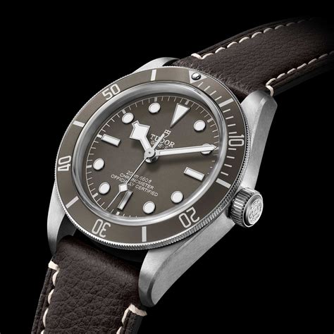 tudor m79010sg|tudor black bay watch 925.